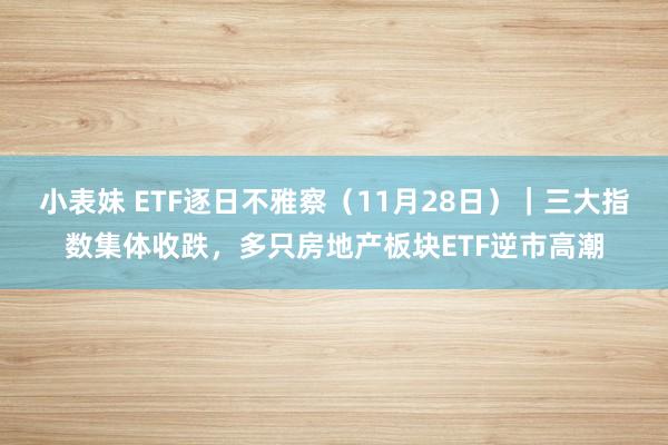 小表妹 ETF逐日不雅察（11月28日）｜三大指数集体收跌，多只房地产板块ETF逆市高潮